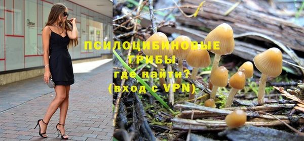 ешки Богородск