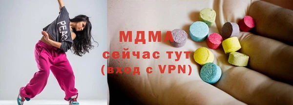 мдпв Инсар