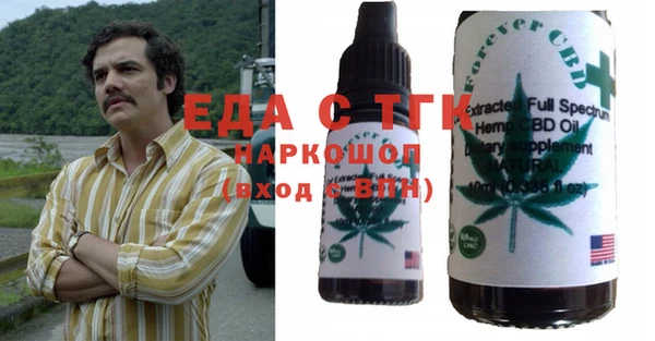 индика Инта